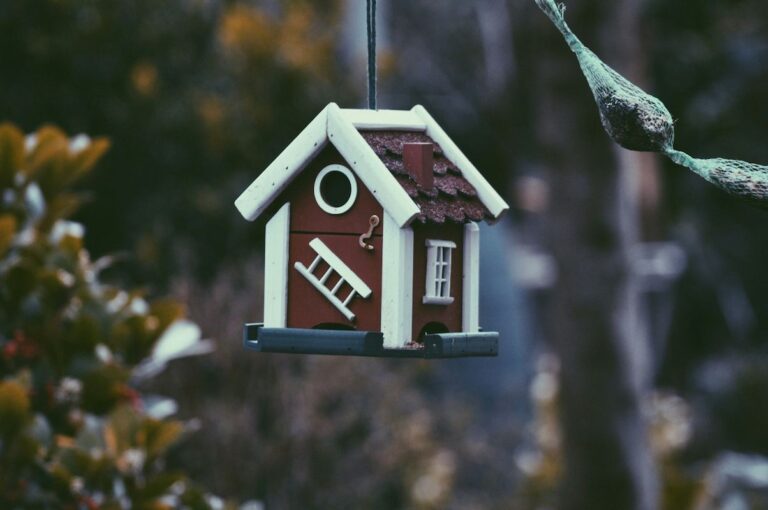 Navigating Buy Before You Sell programs for real estate success