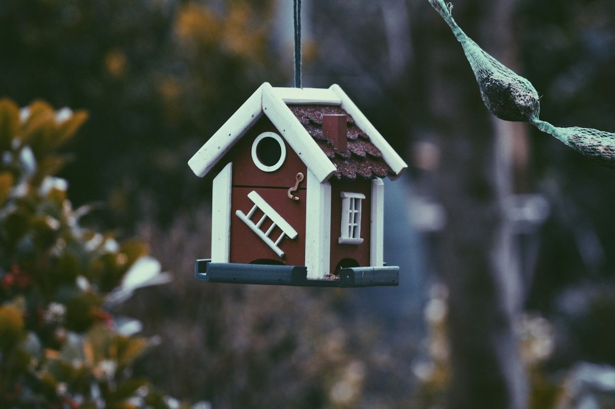 Navigating Buy Before You Sell programs for real estate success